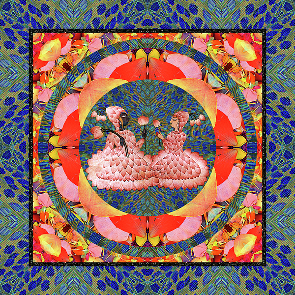 So Lotus by Bell And Todd So Lotus by Bell And Todd